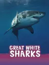 Great White Sharks cover