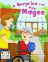 A Surprise for Mrs Magee cover