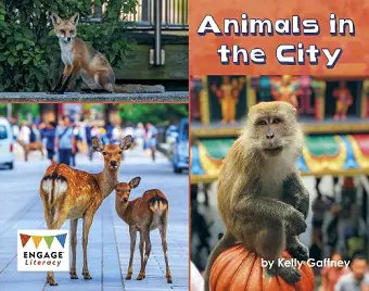 Animals in the City cover