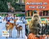 Animals in the City cover