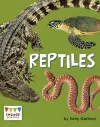 Reptiles cover