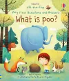 Very First Questions and Answers What is poo? cover