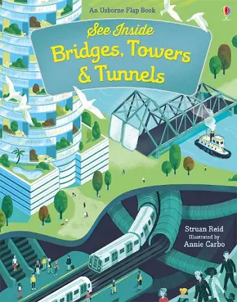 See Inside Bridges, Towers and Tunnels cover