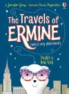 Trouble In New York cover