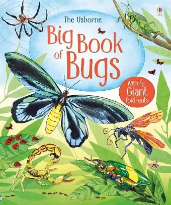 Big Book of Bugs cover