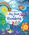 Big Book of Numbers cover