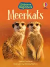 Meerkats cover