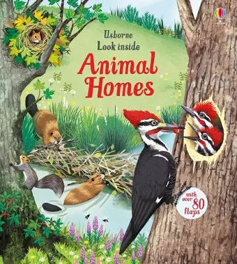 Look Inside Animal Homes cover