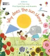 First Questions and Answers: Why Does the Sun Shine? cover