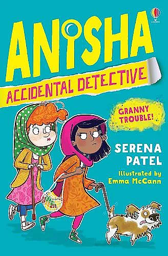 Anisha, Accidental Detective: Granny Trouble cover
