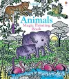 Animals Magic Painting Book cover