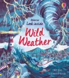 Look Inside Wild Weather cover