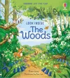 Look Inside the Woods cover