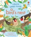 Peep Inside a Bird's Nest cover