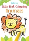 Little First Colouring Animals cover