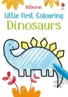 Little First Colouring Dinosaurs cover