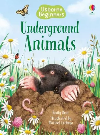 Underground Animals cover