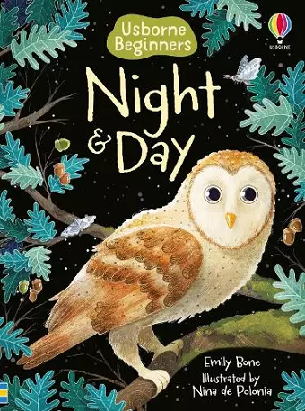 Night and Day cover