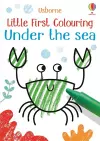 Little First Colouring Under the Sea cover