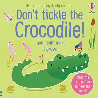 Don't Tickle the Crocodile! cover