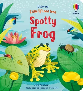 Little Lift and Look Spotty Frog cover