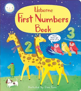 First Numbers Book cover