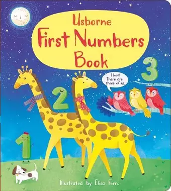 First Numbers Book cover