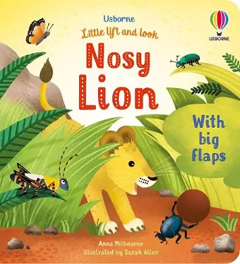 Little Lift and Look Nosy Lion cover