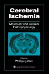 Cerebral Ischemia cover