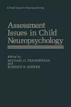 Assessment Issues in Child Neuropsychology cover