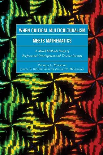 When Critical Multiculturalism Meets Mathematics cover