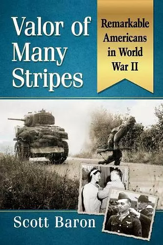 Valor of Many Stripes cover