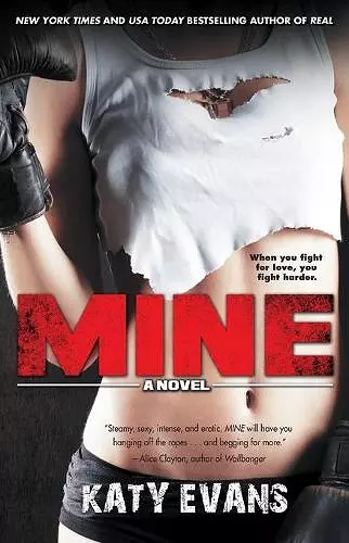 Mine cover
