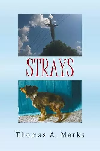 Strays cover