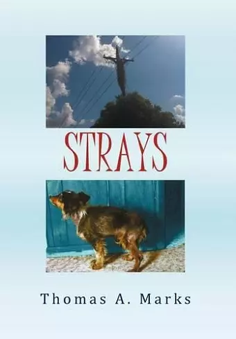 Strays cover