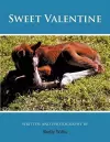 Sweet Valentine cover