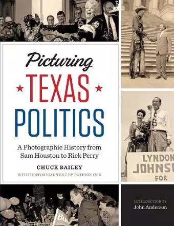 Picturing Texas Politics cover