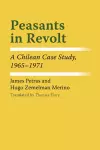 Peasants in Revolt cover