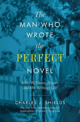 The Man Who Wrote the Perfect Novel cover