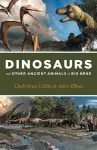 Dinosaurs and Other Ancient Animals of Big Bend cover