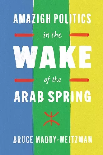 Amazigh Politics in the Wake of the Arab Spring cover