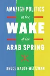 Amazigh Politics in the Wake of the Arab Spring cover