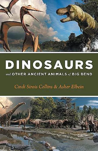 Dinosaurs and Other Ancient Animals of Big Bend cover