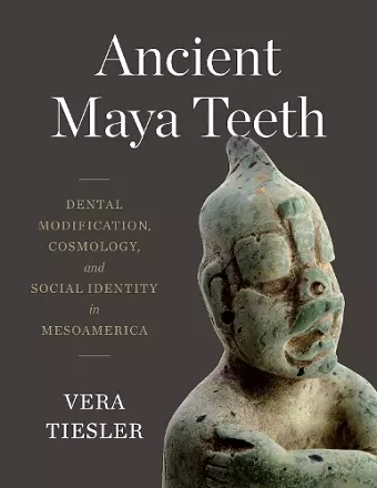 Ancient Maya Teeth cover