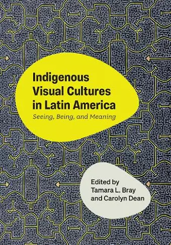 Indigenous Visual Cultures in Latin America cover