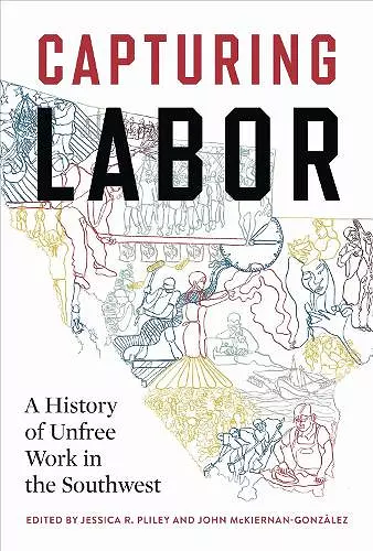 Capturing Labor cover