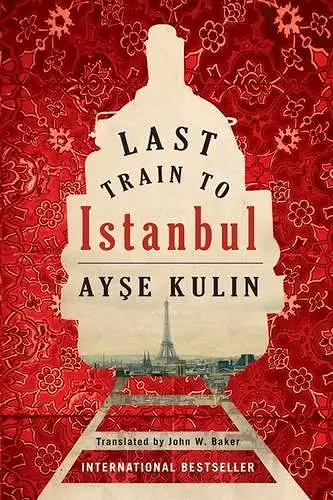 Last Train to Istanbul cover