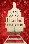 Last Train to Istanbul cover