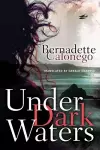 Under Dark Waters cover