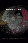A World of Many Worlds cover